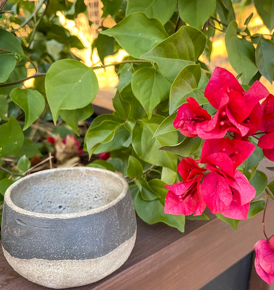 Rustic Two Tone Bowl Small