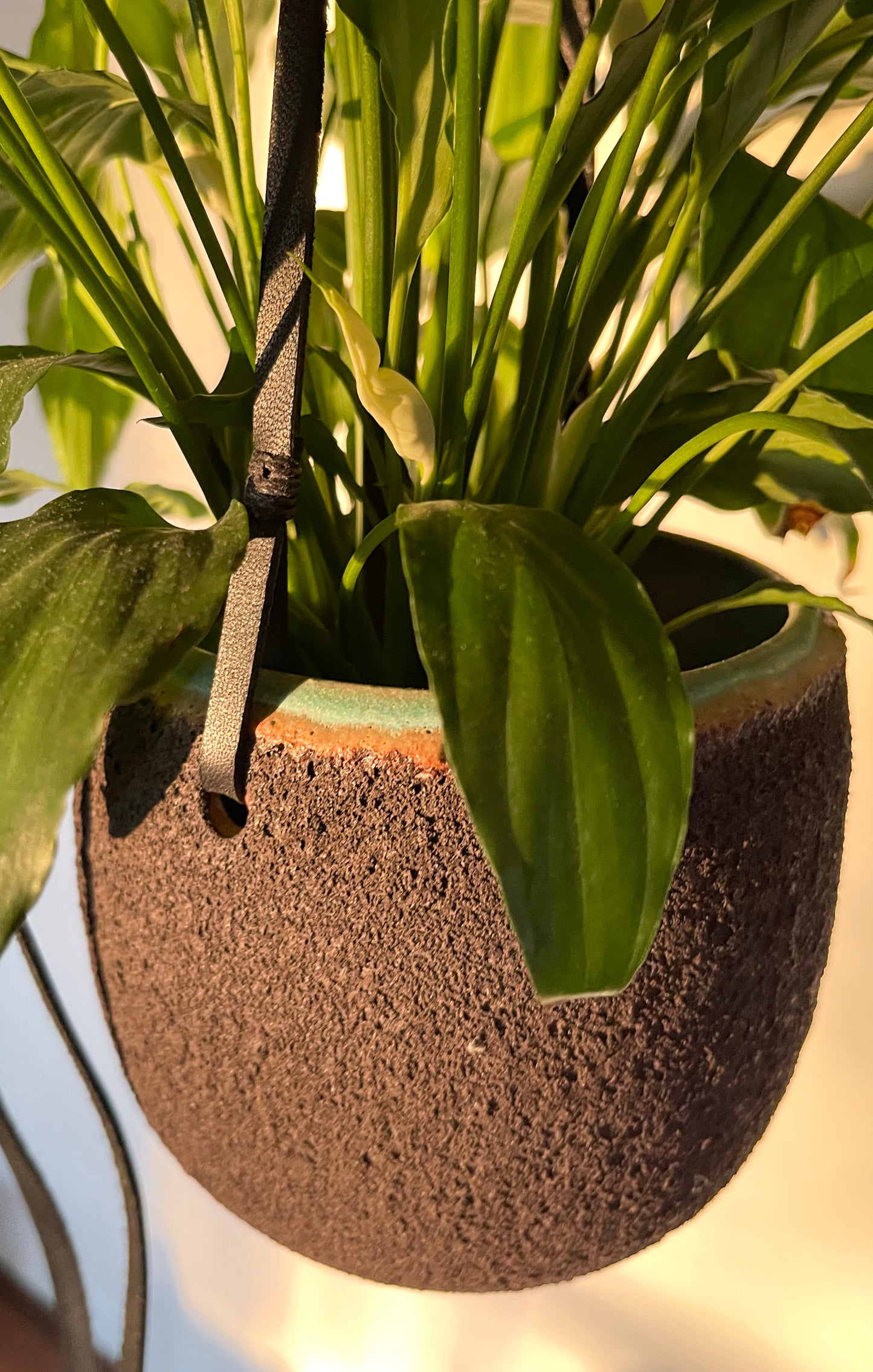 Dark Textured Magma Hanging Planter